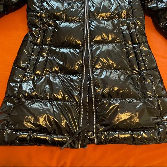 The North Face Renewed Shiny Gotham Parka - Picture 4 of 13